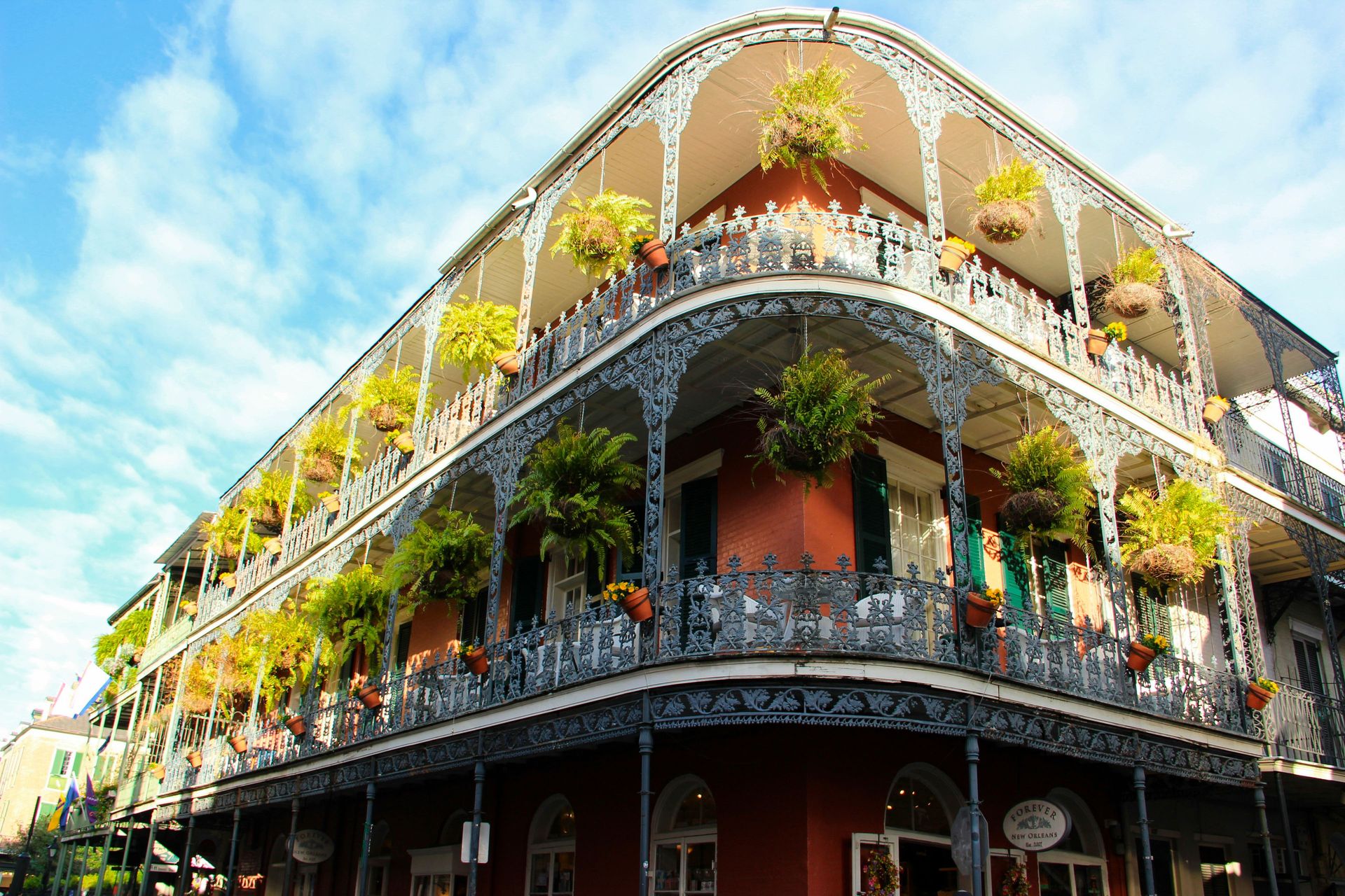 new orleans_header